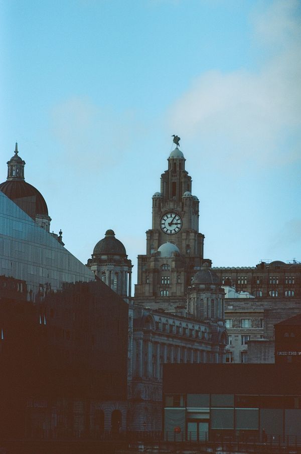 Film photograph