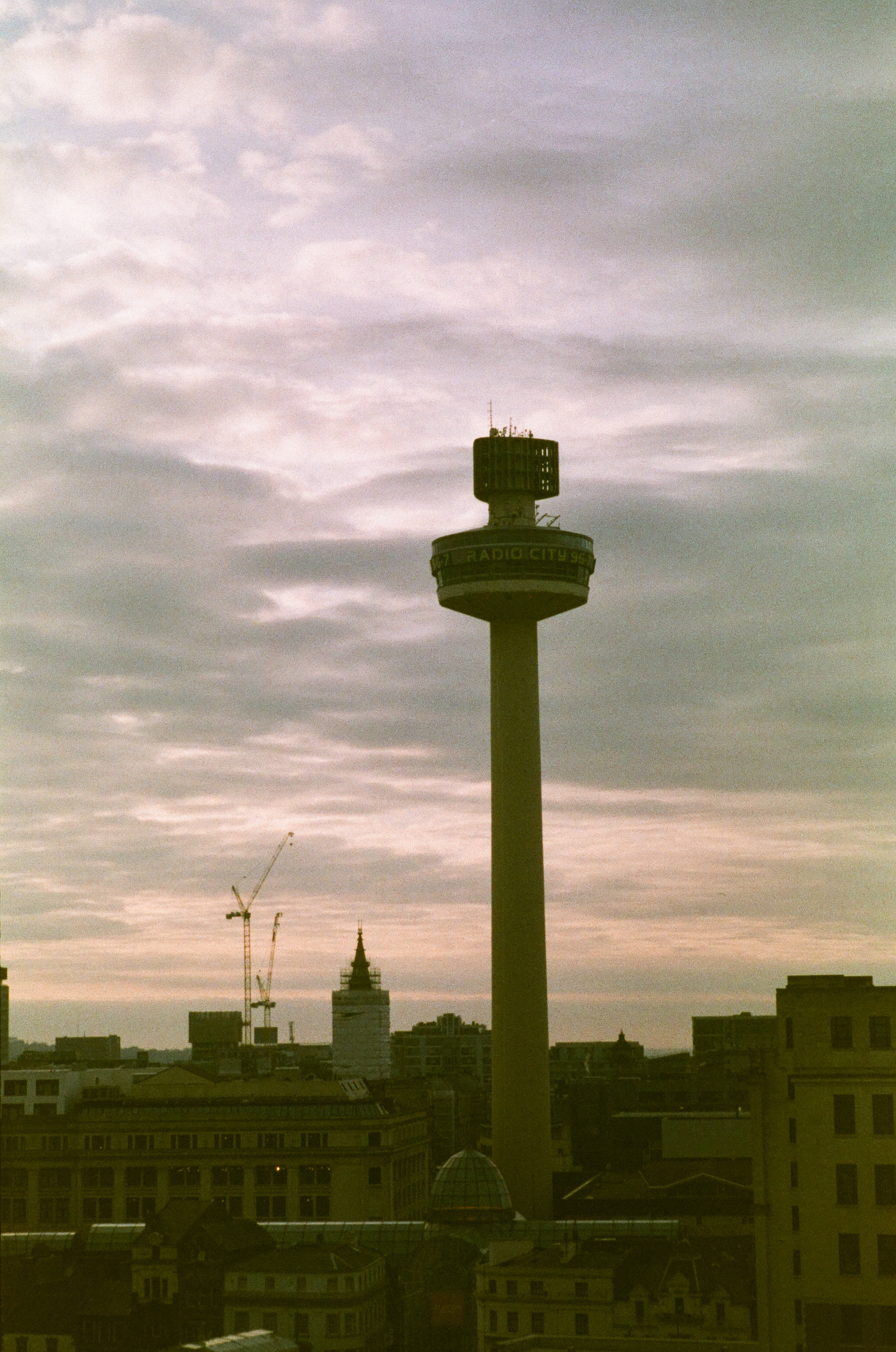 000036750020