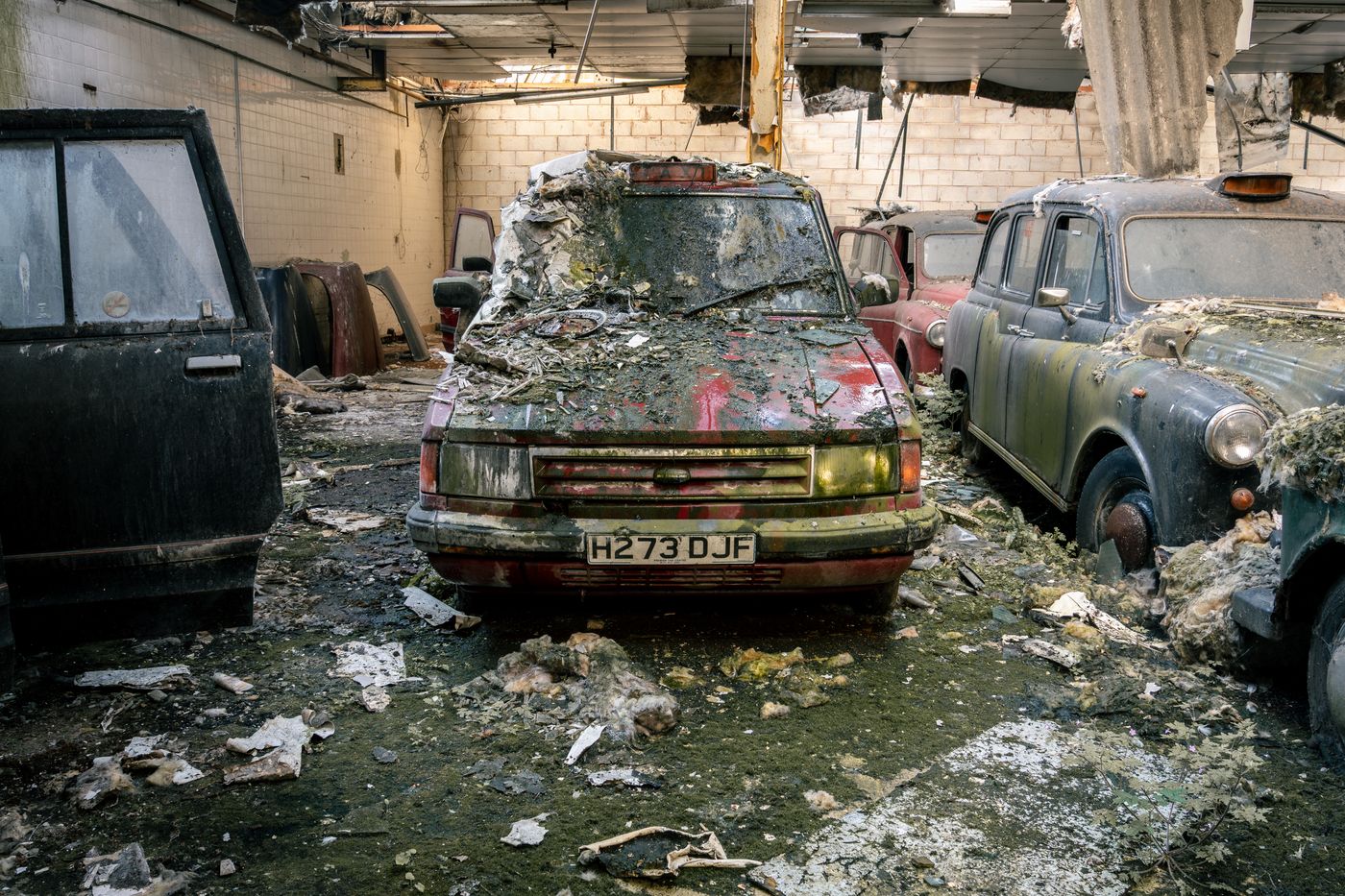 DSC06548