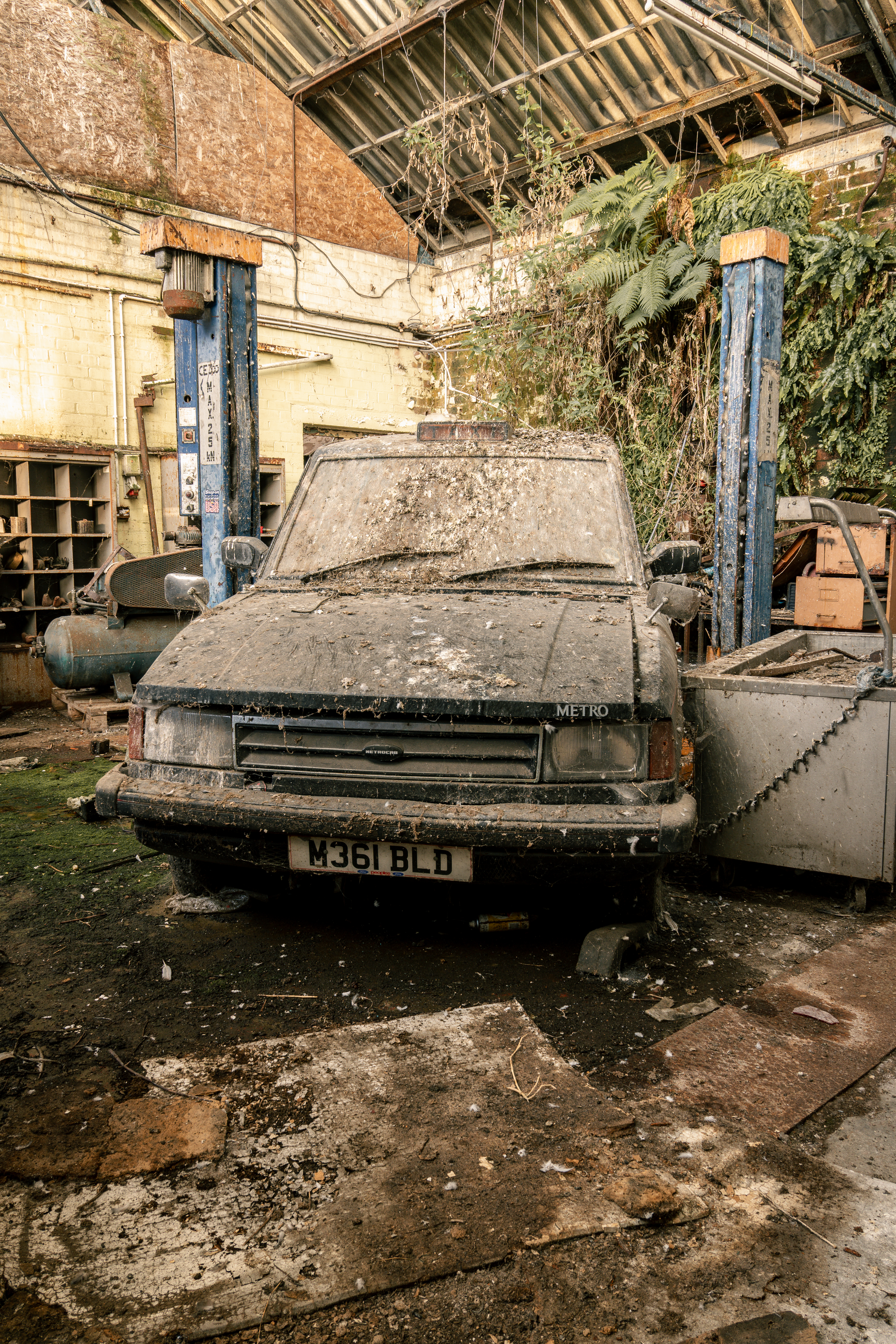 DSC06558