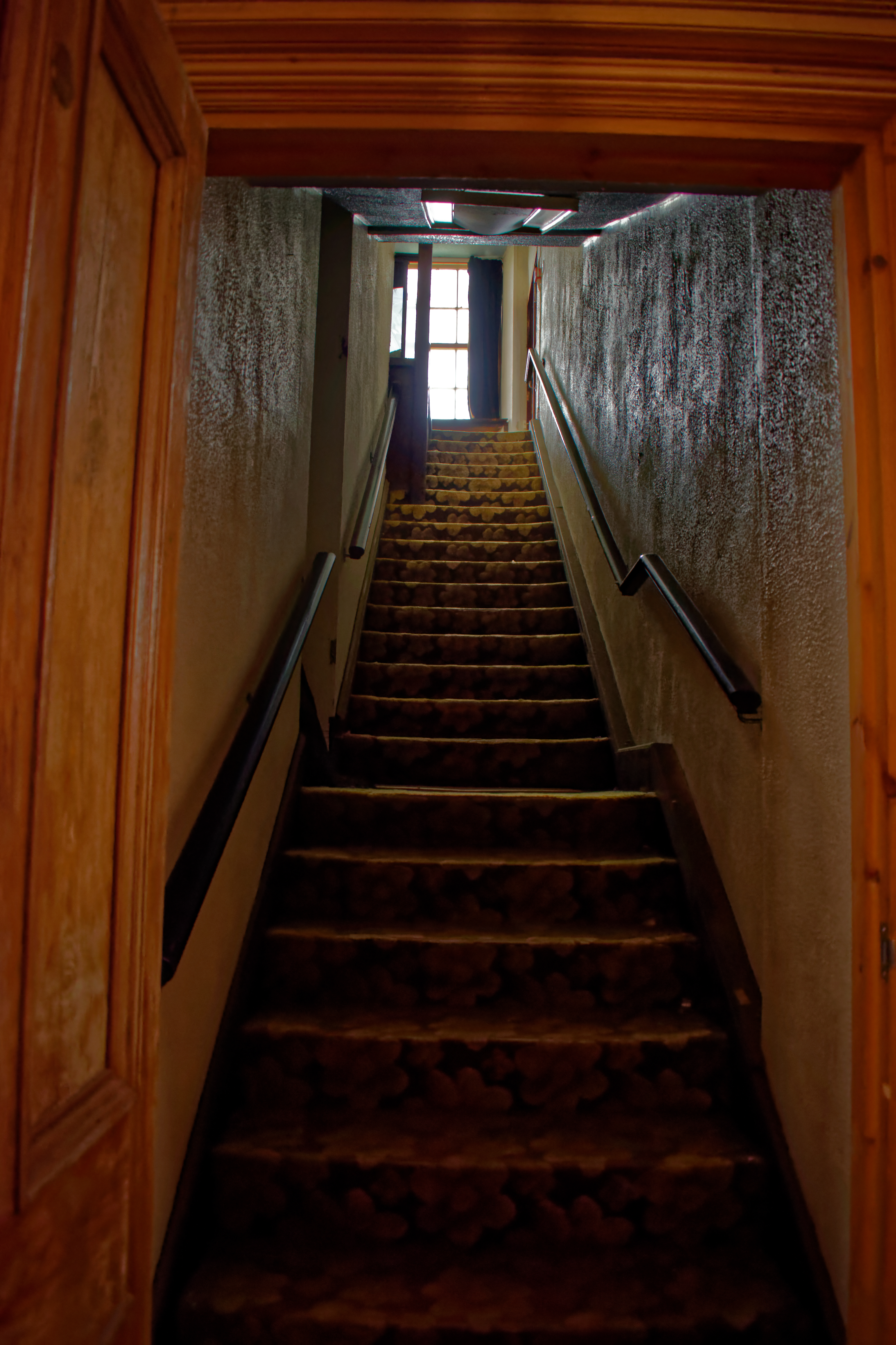 DSC_0045_DxO