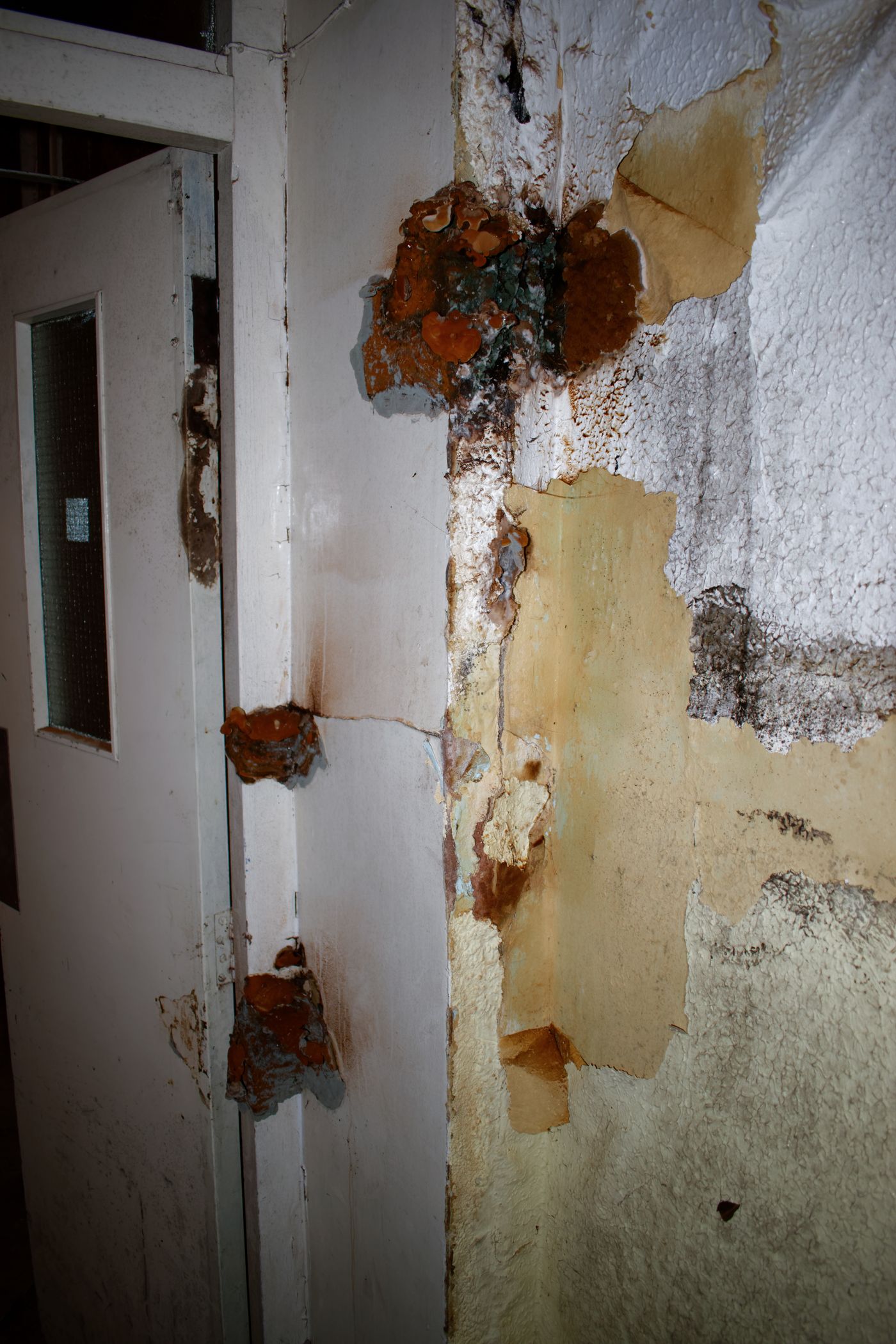 DSC_0055_DxO